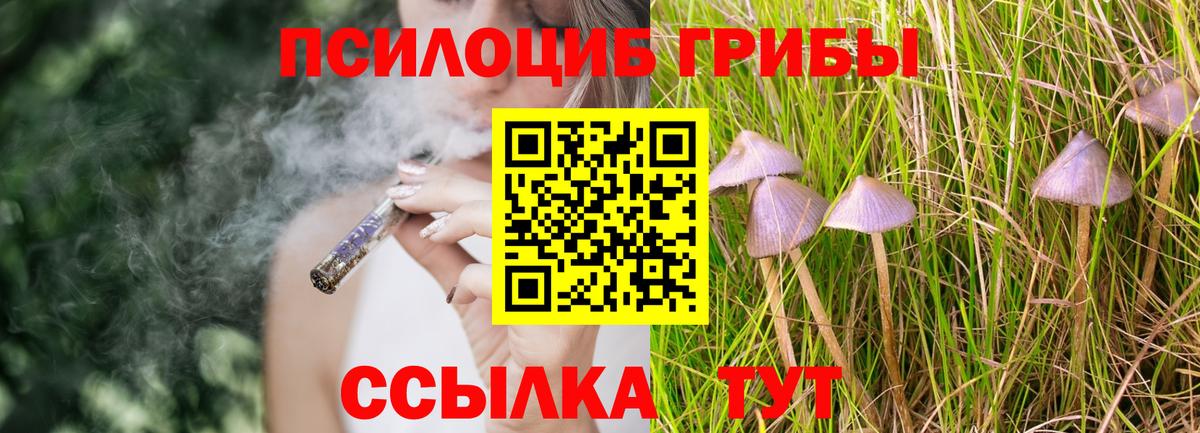 Галлюциногенные грибы мухоморы  Вход с VPN  Красный Сулин  Псилоцибиновые грибы мицелий 